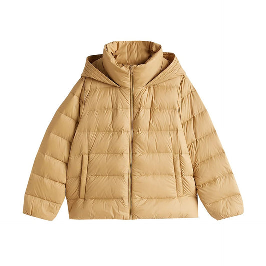Tommy Hilfiger jassen 