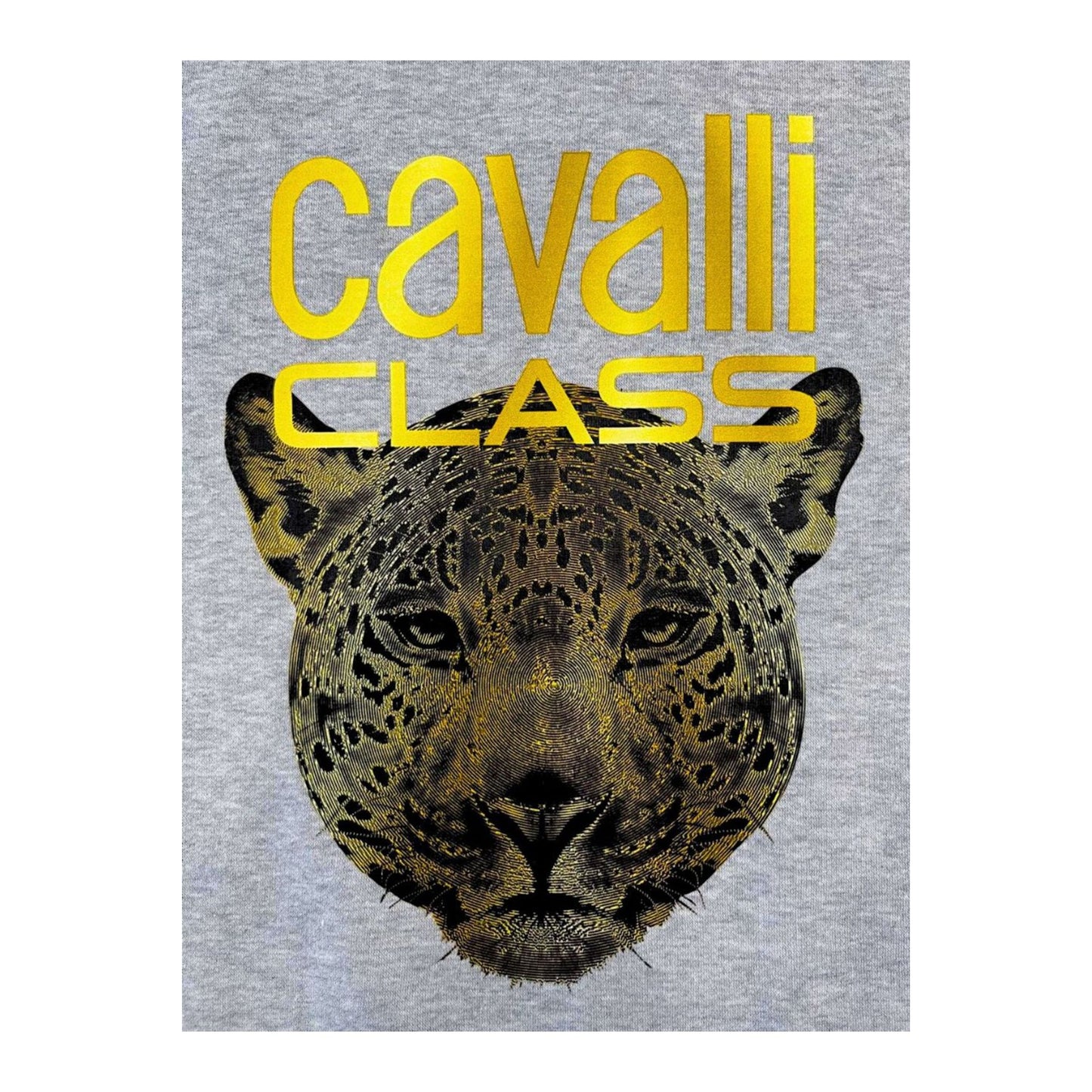 Cavalli Class Sweatshirts 