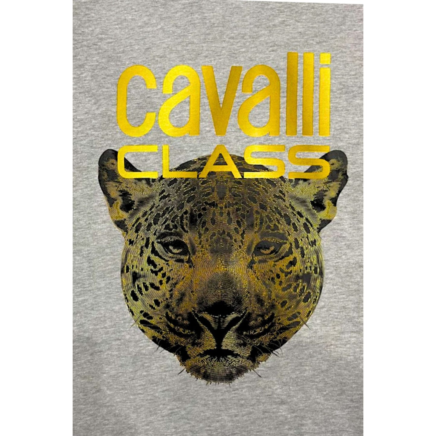 Cavalli Class Sweatshirts 