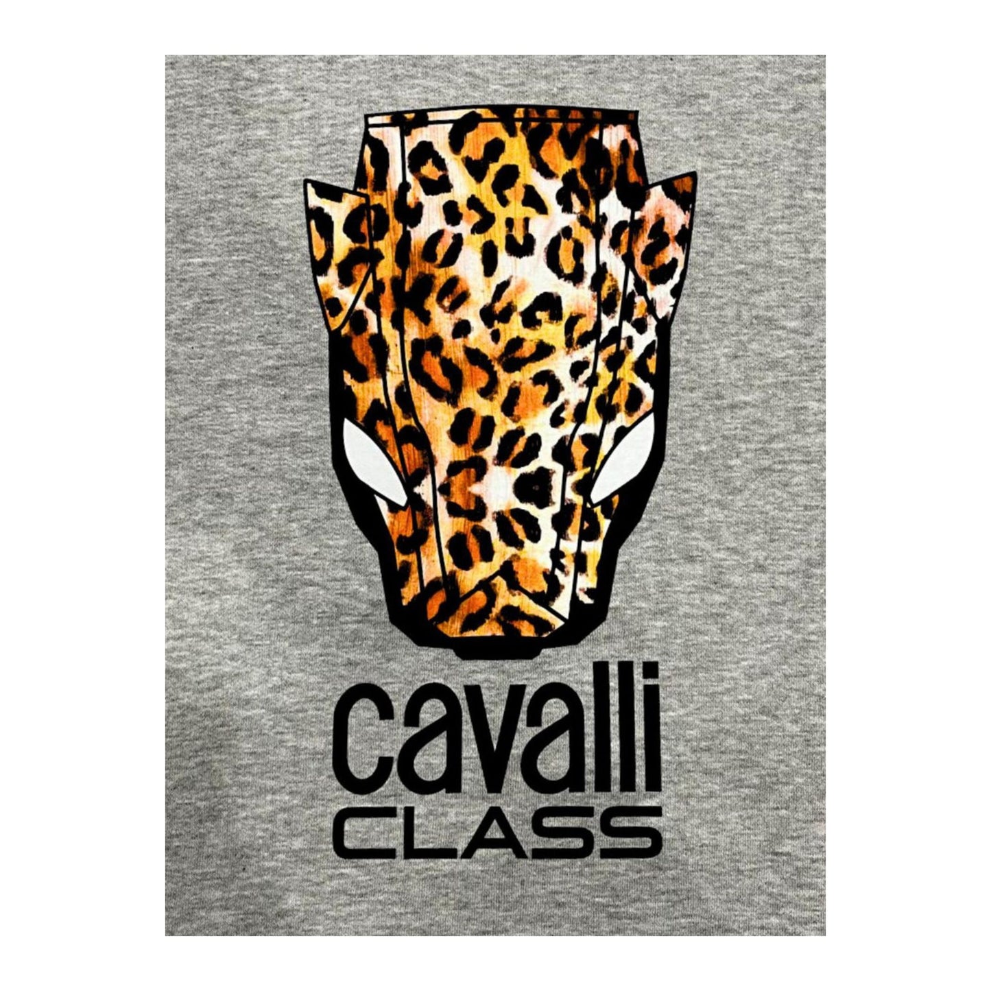 Cavalli Class Sweatshirts 